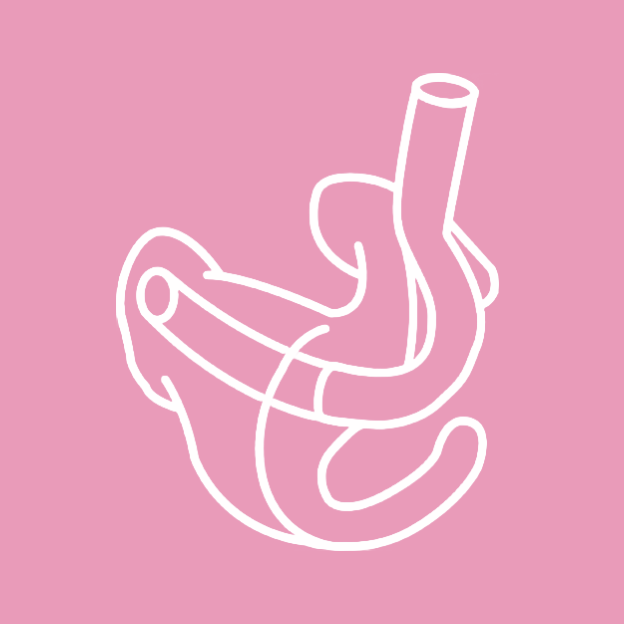 Embout Demi-Conque